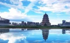 闲鱼怎么查买家手机号?