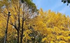 微信乘车码怎么删除绑定的城市信息?