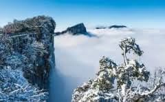 十年感情付诸东流是什么意思?